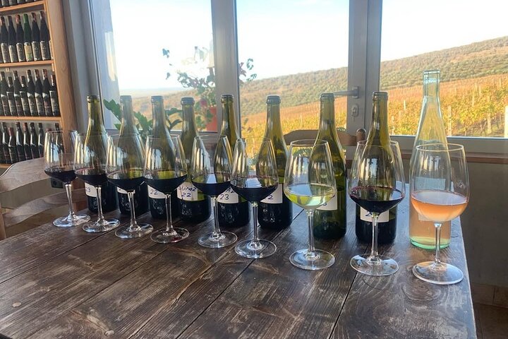 Zvernec Monastery, Apollonia and Wine Tasting From Vlora