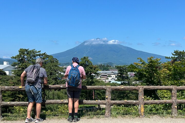 Private Tour of Aomori with Licensed Guide