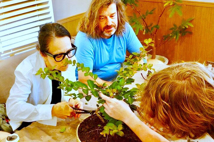Bonsai Art Tour & Experience in Japan's Most Sacred "Bonsai City"