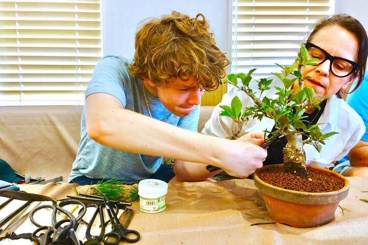 Bonsai Art Tour & Experience in Japan's Most Sacred "Bonsai City"