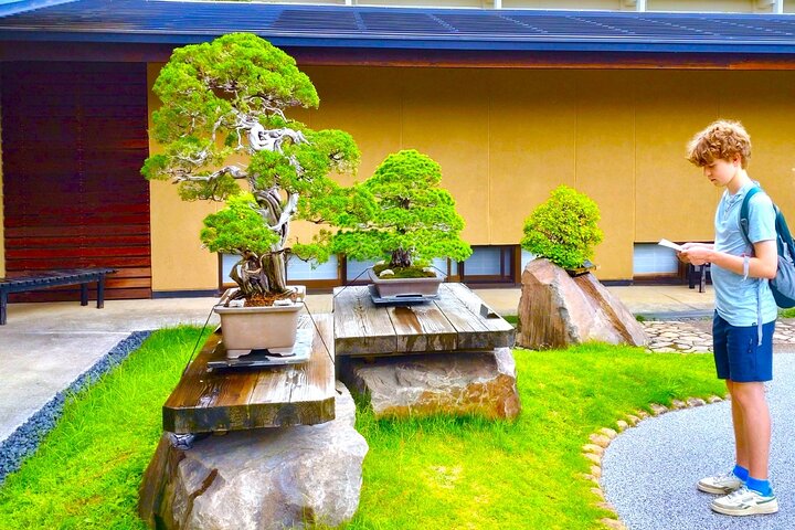 Bonsai Art Tour & Experience in Japan's Most Sacred "Bonsai City"