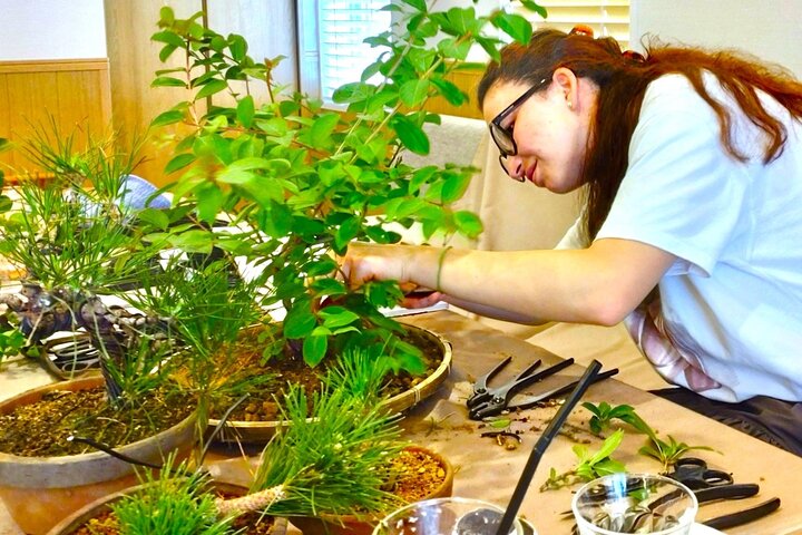 Bonsai Art Tour & Experience in Japan's Most Sacred "Bonsai City"
