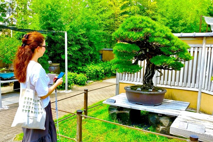 Bonsai Art Tour & Experience in Japan's Most Sacred "Bonsai City"