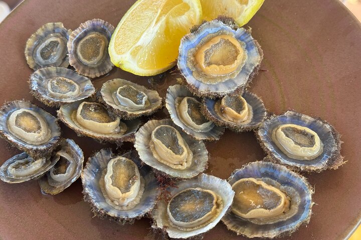Private Cruise: Explore Rina’s Cave & Enjoy Fresh Seafood Onboard