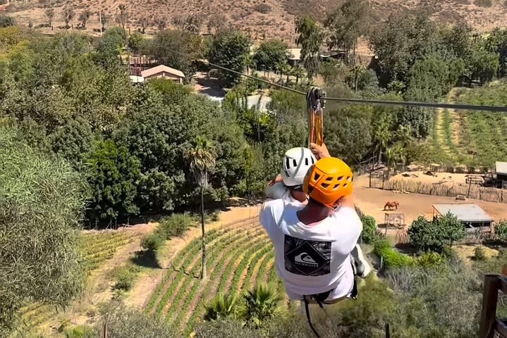 Zip lines /pink quad bikes/paintball + Transportation