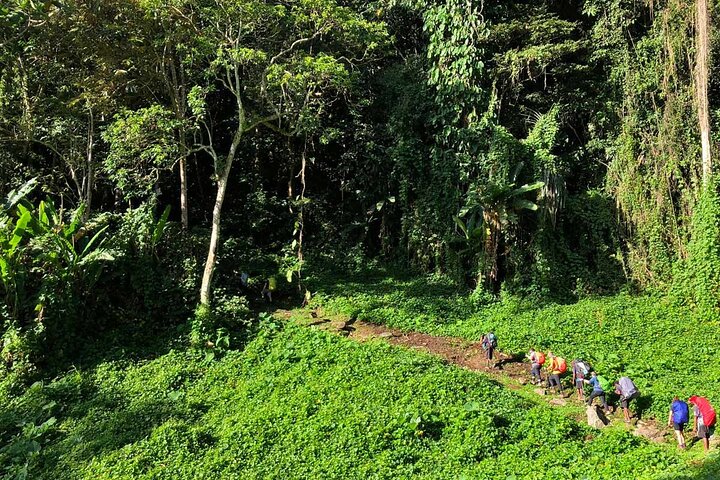 11 Day Kokoda Trek Australian and Local Guides