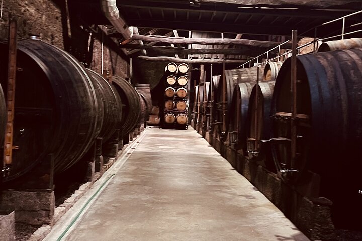 Douro valley private historic tour with Vineyard Lunch