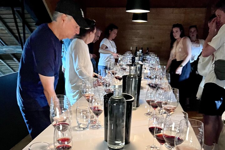 Douro valley private historic tour with Vineyard Lunch
