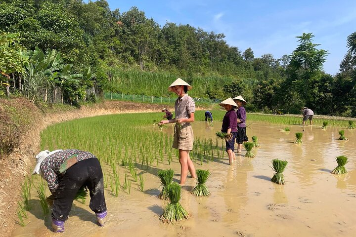 3-Day Cao Bang Loop Motorbike Adventure, Ethnic Life from Hanoi