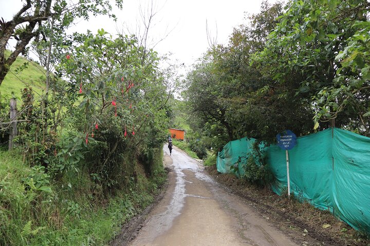 Colombia’s Tallest Waterfalls: La Chorrera Hike
