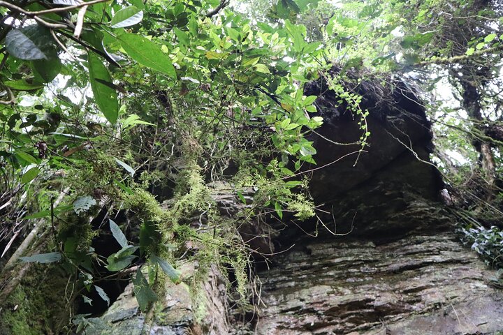 Colombia’s Tallest Waterfalls: La Chorrera Hike