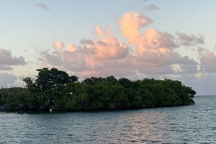 Guided Kayak Tour of Salt River Bay Ecology and History