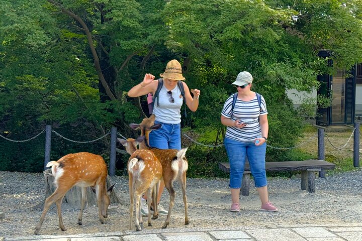 Nara: Half-Day Private Tour of 4 Must-See Spots & Deer Park