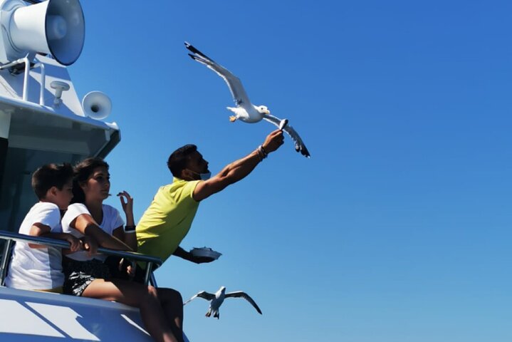 Half-Day Boat Tour in Milano Marittima, Riviera Romagnola