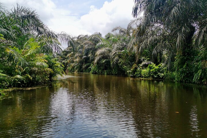 Private Tour on Porto-Novo and the Black Lake of Adjara