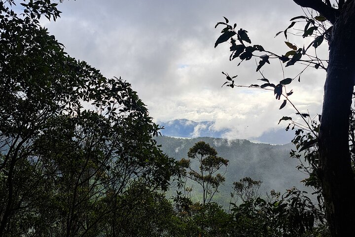 4WD Guided Day Trip In D'Aguilar National Park