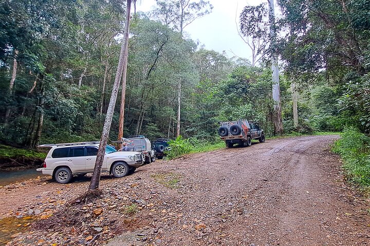 4WD Guided Day Trip In D'Aguilar National Park