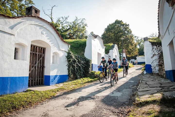 Moravian E-Bike & Wine Private Day Trip From Brno