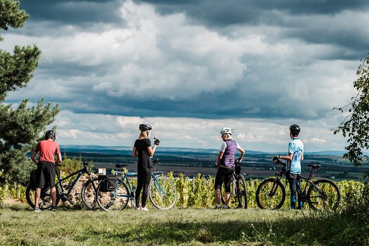 Moravian E-Bike & Wine Private Day Trip From Brno