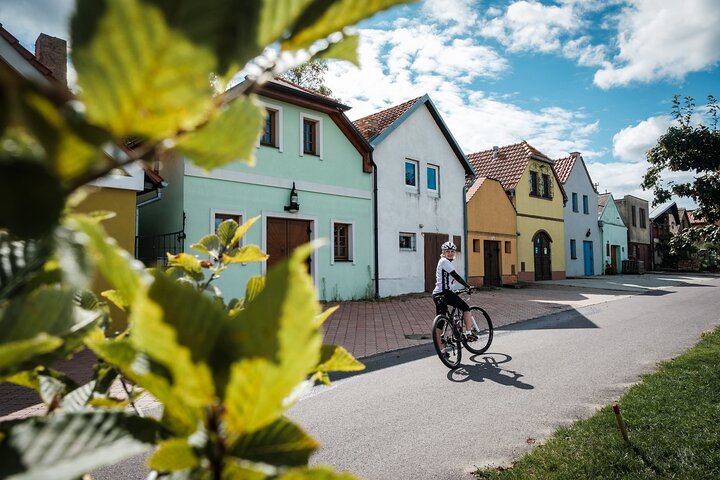 Moravian E-Bike & Wine Private Day Trip From Brno
