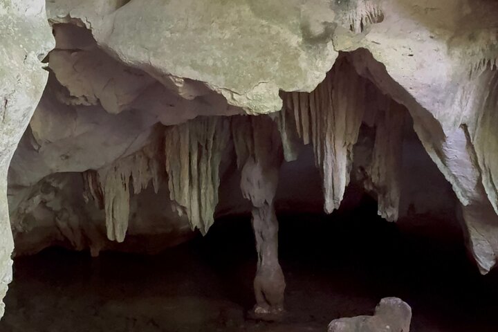 Haitian National Park and fell up