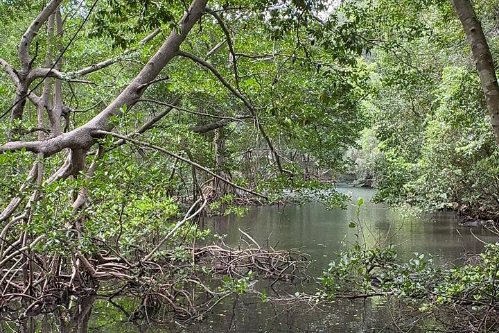 Haitian National Park and fell up