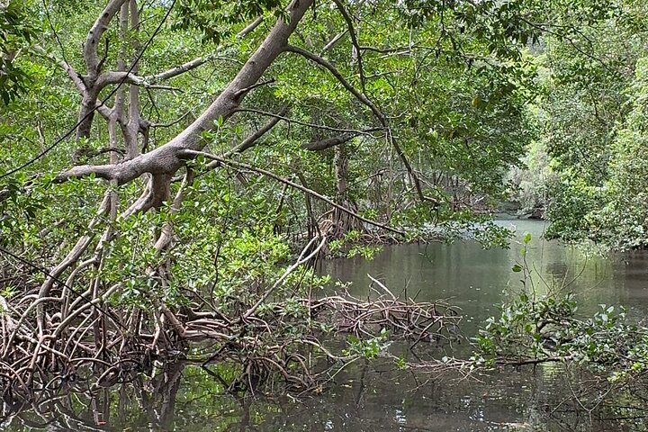 Haitian National Park and fell up