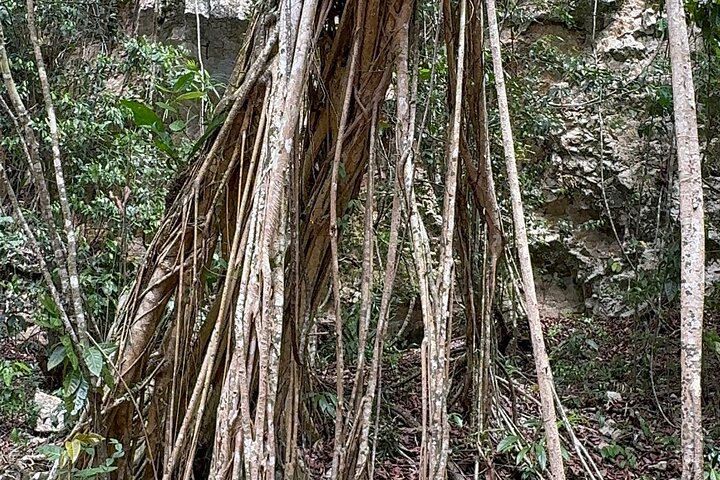Haitian National Park and fell up