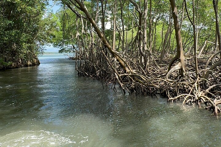 Haitian National Park and fell up