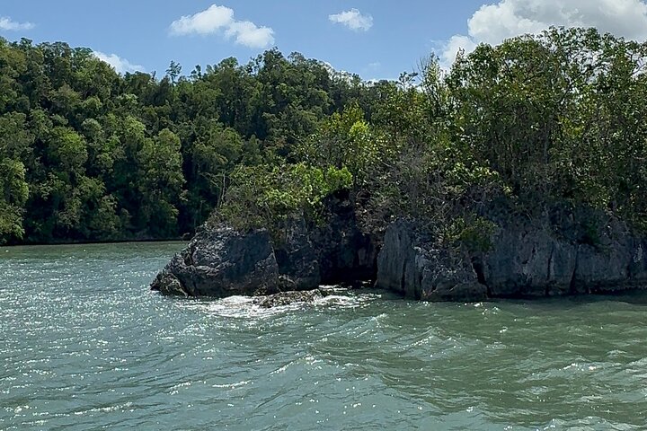 Haitian National Park and fell up