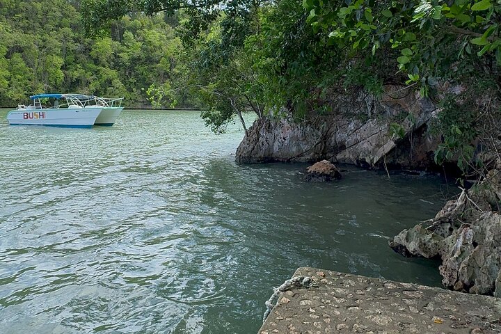 Haitian National Park and fell up