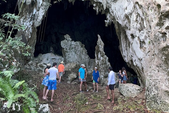 Haitian National Park and fell up