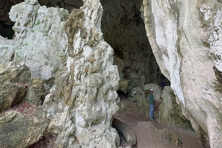 Haitian National Park and fell up