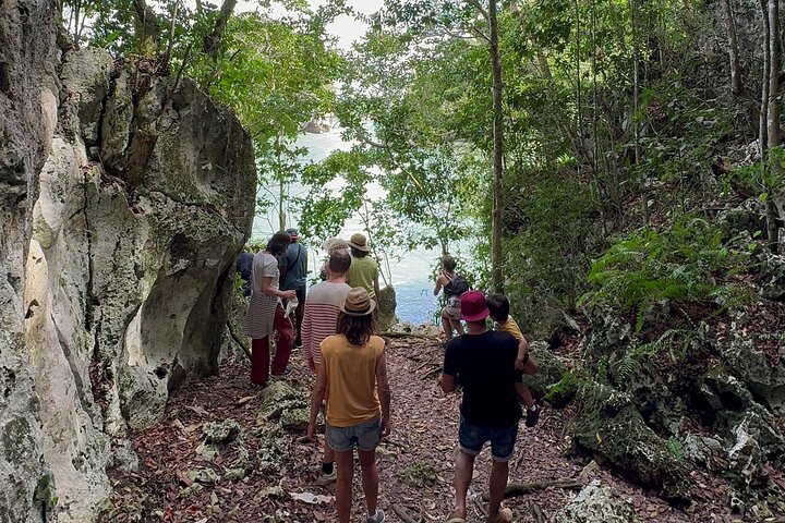 Haitian National Park and fell up