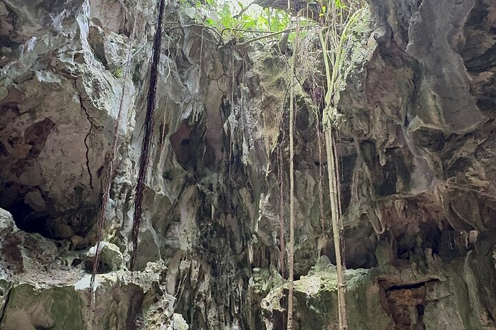 Haitian National Park and fell up