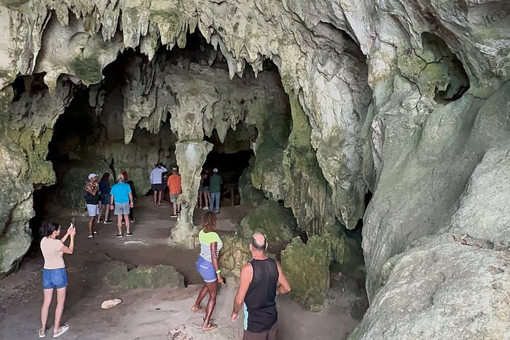 Haitian National Park and fell up