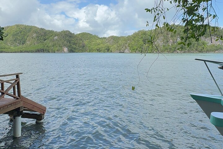 Haitian National Park and fell up