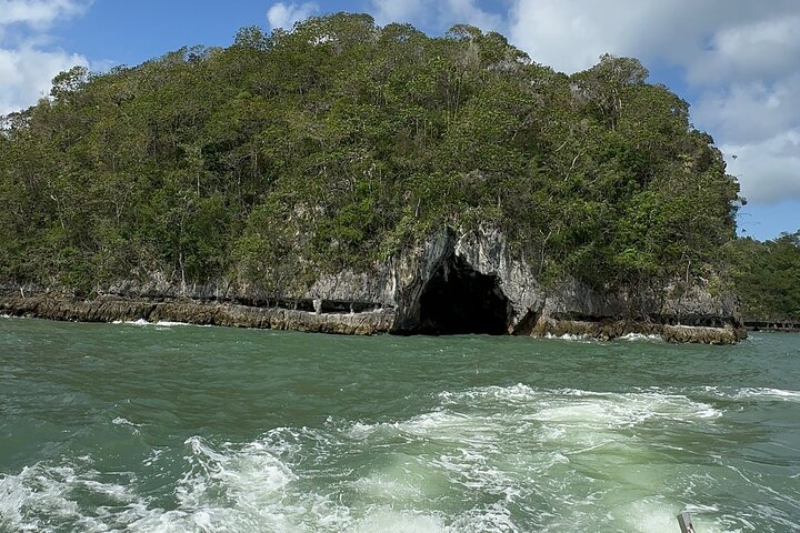 Haitian National Park and fell up