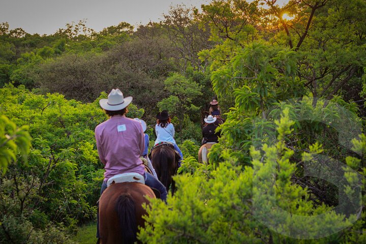 Horseback Riding in the Guanajuato Hills