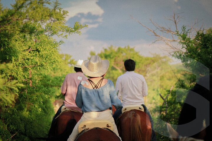 Horseback Riding in the Guanajuato Hills