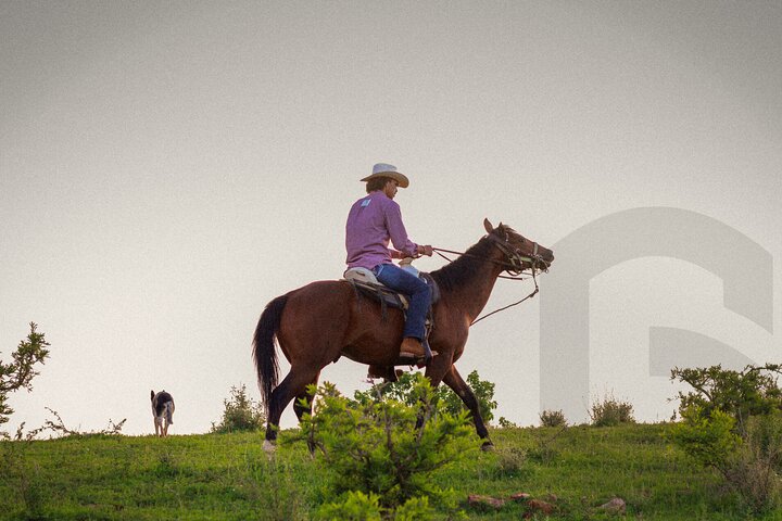Horseback Riding in the Guanajuato Hills