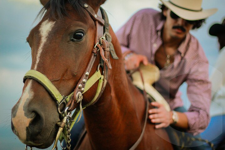 Horseback Riding in the Guanajuato Hills