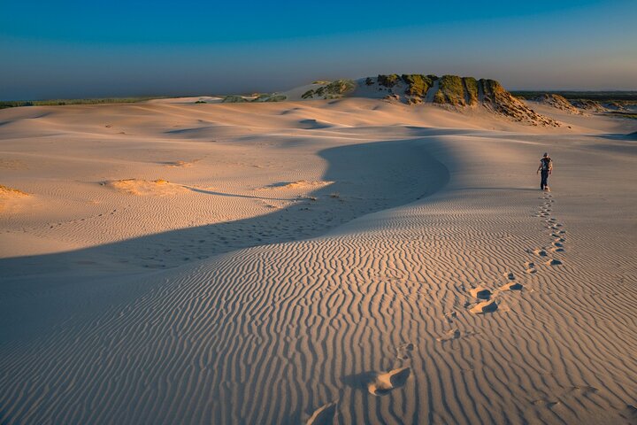 Skagen Private Tour from Cruise Port