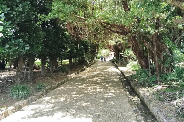 Shurijo Castle & Royal Mausoleum Tour – Ryukyu Kingdom Heritage