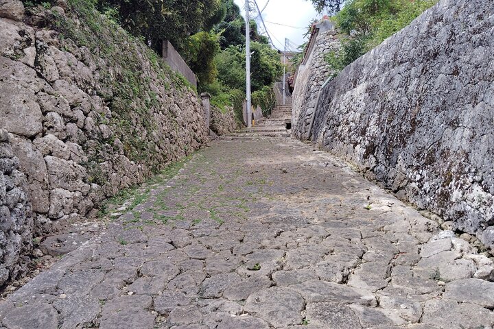 Shurijo Castle & Royal Mausoleum Tour – Ryukyu Kingdom Heritage