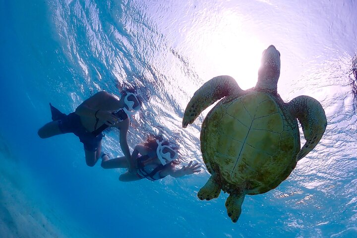 Cheap Miyakojima (Clear SUP & Sea Turtle Snorkel) No extra charge | Full refund guarantee | Free rentals and photos | 1 year old - OK!