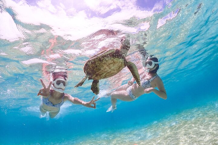 Cheap Miyakojima (Clear SUP & Sea Turtle Snorkel) No extra charge | Full refund guarantee | Free rentals and photos | 1 year old - OK!