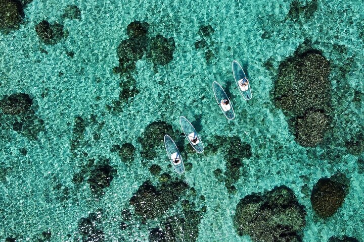 Cheap Miyakojima (Clear SUP & Sea Turtle Snorkel) No extra charge | Full refund guarantee | Free rentals and photos | 1 year old - OK!