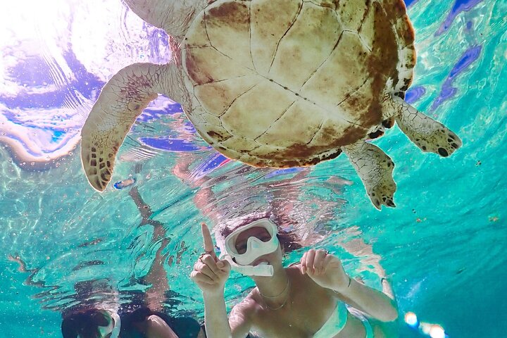 Cheap Miyakojima (Clear SUP & Sea Turtle Snorkel) No extra charge | Full refund guarantee | Free rentals and photos | 1 year old - OK!