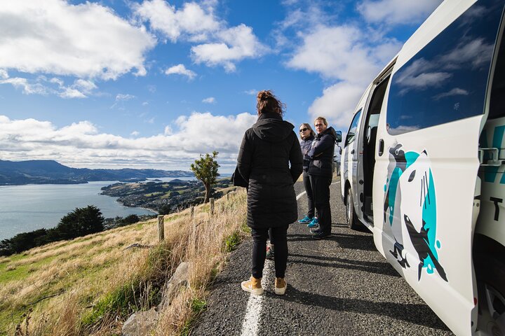 Clearwater Wildlife Tours (small group 10max) Otago Peninsula